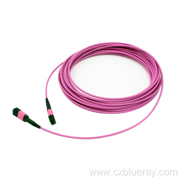 Female MM OM4 12 Fiber LSZH 1M TYPEB